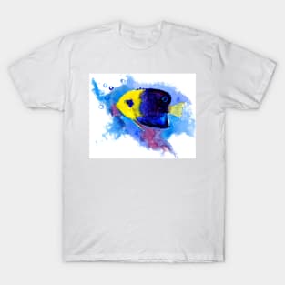 Pygmy Angelfish T-Shirt